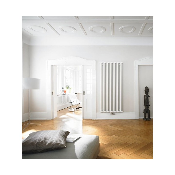 Grzejnik industrialny, Zehnder Charleston 2220,10 elem,460 mm,podł