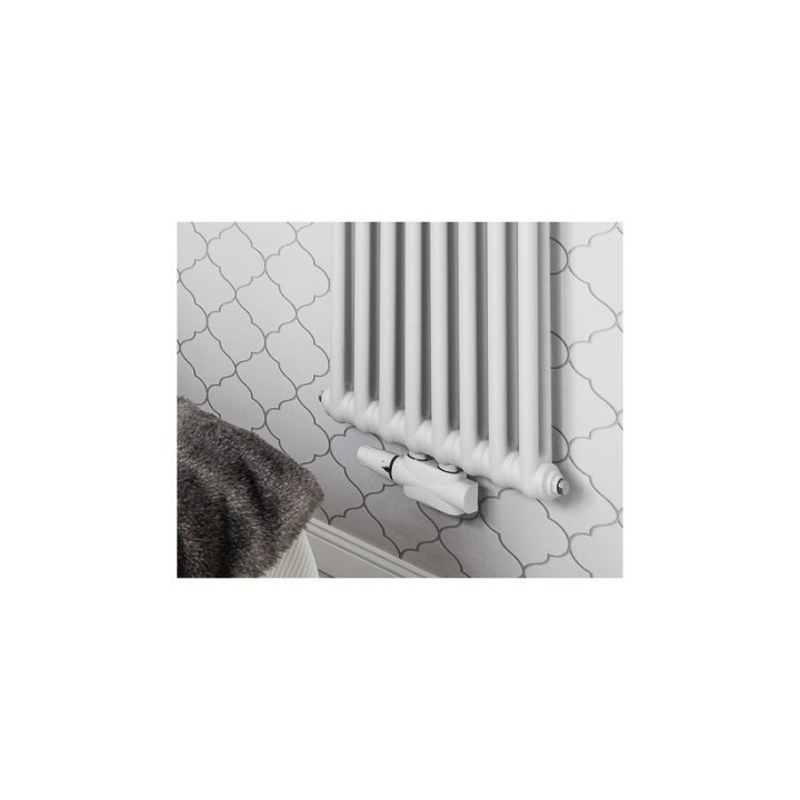 Grzejnik industrialny, Zehnder Charleston 2220,10 elem,460 mm,podł