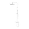 Biały matowy