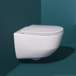 Zestaw miska wc z deską LAUFEN PRO A 530x360 mm biała H8669570000001